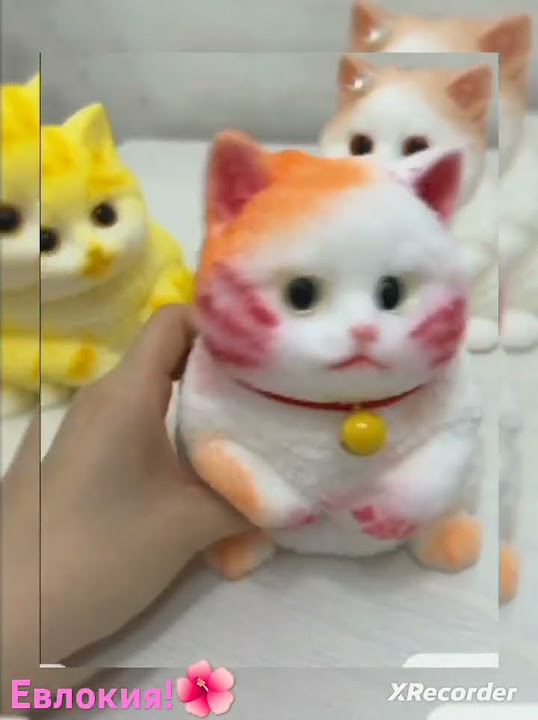 Котик Таба сквиш))!😻🐈🐾🔥🤗 #сквиши #cat - YouTube