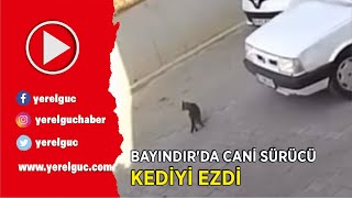 BAYINDIR’DA CANİ SÜRÜCÜ KEDİYİ EZDİ Resimi