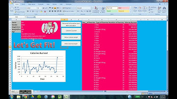ABE 205 VBA/Excel Project