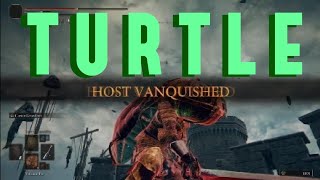 I am an Explosive Turtle Knight