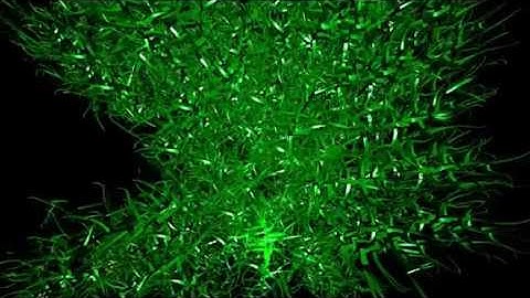 Isadora 3D Model Particles