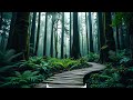 2 Hours Forest Music for ADHD Focus 🌲 Deep Nature Soundscape for Concentration &amp; Study