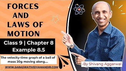 Forces and Laws of Motion | Class 9 | Example 8.5