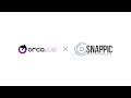 How to Configure Snappic for OrcaVue 360 Video Booths