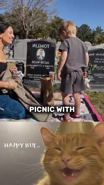 Try not to cry 🥀😢 #shorts #cat #emotionalmoment