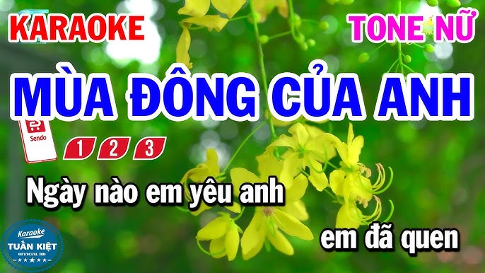 Karaoke Mùa Đông Của Anh Tone Nữ Nhạc Hay Dễ Hát