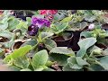 Documentary on natural fertilizers !