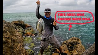 Jetty Fishing in CLEARWATER, Florida {POMPANO MADNESS}