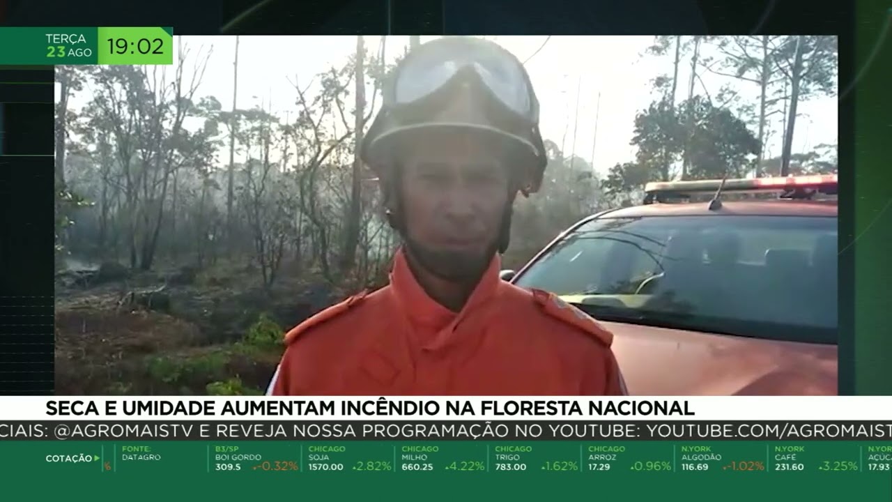 Seca e umidade aumentam incêndio na Floresta Nacional