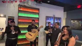 Victor Po - Mujeres Divinas (mariachi en vivo Catrinas) (cover)