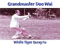 Master Doo Wai - White Tiger Gung Fu