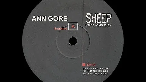 Ann Gore - Untitled ( Sunblind - A1 )
