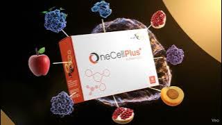 Scene 1 000008 202512192220 b2hqx