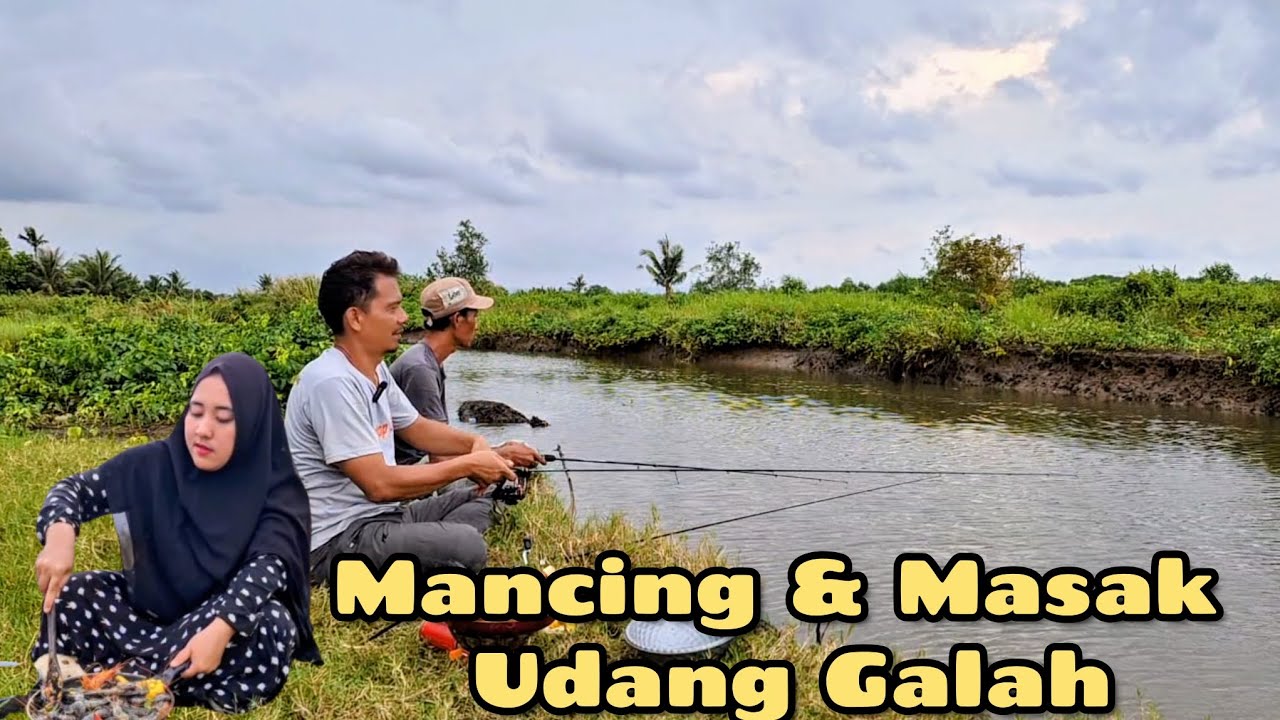 MANCING & MASAK UDANG GALAH