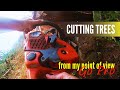 Cutting Old Growth w/GoPro | Trigvi - Forestry Forum