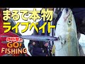 明石で青物爆釣ジギング！まるで本物!? ジグパラ・ライブベイト｜伊丹章のGO!FISHING