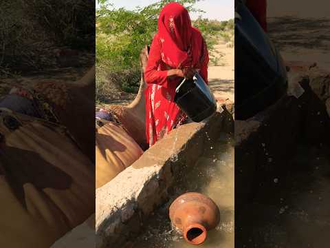 تعتبر صحراء ثار مكان ا جميل ا وساحر ا للطبيعة