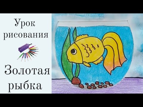 Рисуем золотую рыбку цветными карандашами.