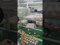 Assembleing TWS Charging Case