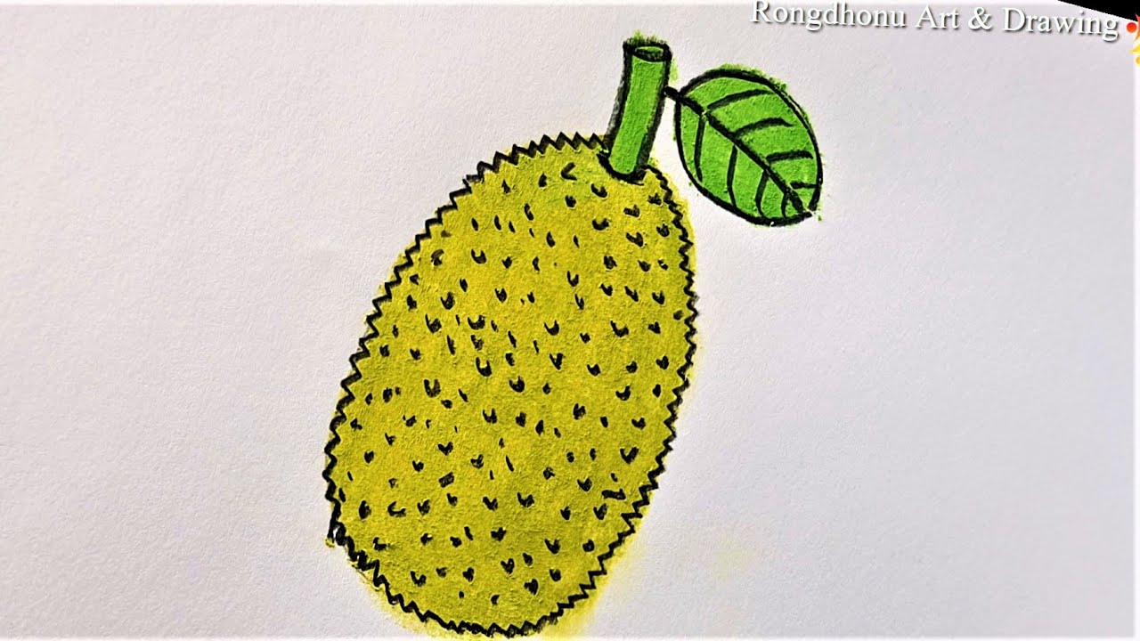 How to draw a Jackfruit Painting Easy for Beginners YouTube