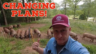 The FUTURE Of Our Pastured Pig Operation