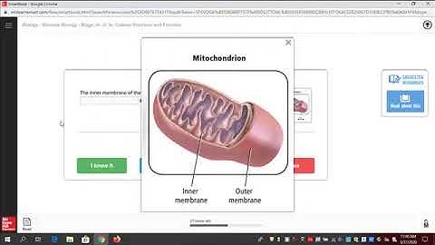 LearnSmart for Glencoe Science Grades 6 - 12: Virtual Access Support