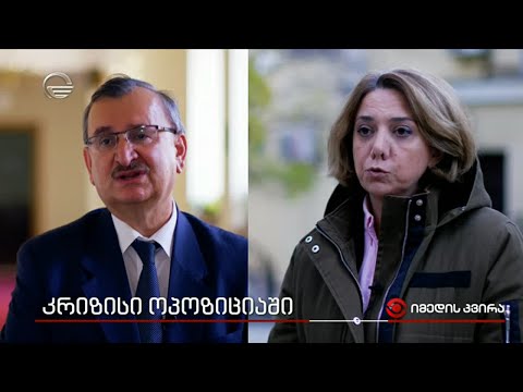 კრიზისი ოპოზიციაში