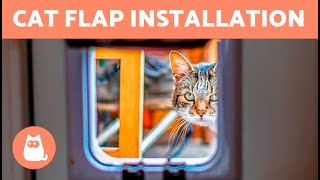 CAT DOORS 🐱 Installing and Benefits of CAT FLAPS screenshot 1
