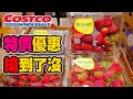 【Costco 好市多】隱藏優惠(即食炭烤烏魚子/有機枸杞)｜新品情報(奇美冷凍熟水餃/ LEVI’S 短袖上衣)  2021/5/28
