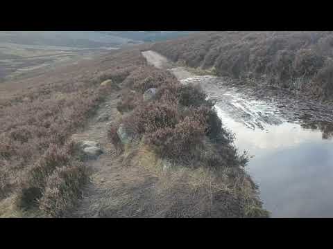 Wee wander up to the queens well . Invermark , Scotland