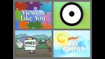 PBS Kids Program Break (1999 WNED) Incomplete Reupload
