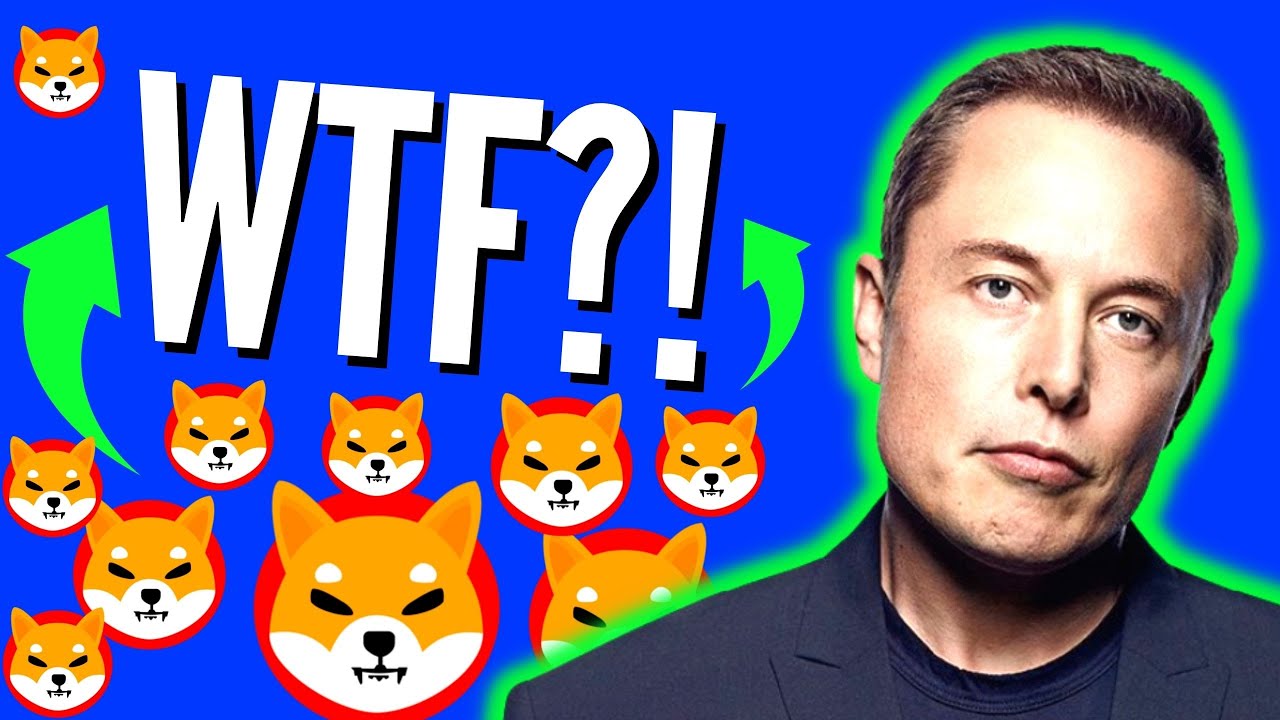 Elon Musk Just FLIPPED on Shiba Inu Coin After Twitter Purchase!! Shiba Inu Coin News Today