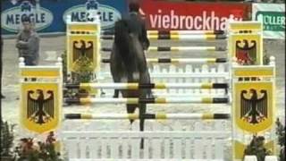De Wiemselbach   Stallions   Numero Uno   Video