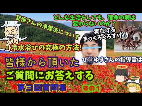 『ゆっくり解説』第三回質問集、ついに始動しました！