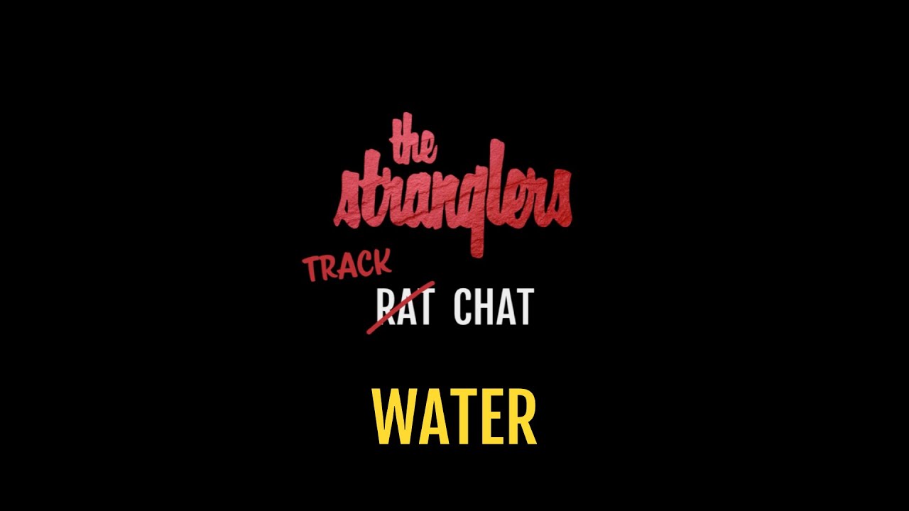 'The Lines' (Dark Matters Acoustic Sessions) - The Stranglers