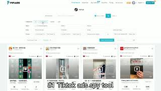 #1 tiktok ads spy tool -Pipiads