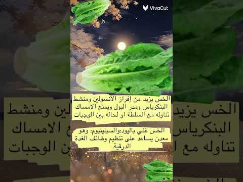 الخس نعمه اكسبلور معلومات ترند