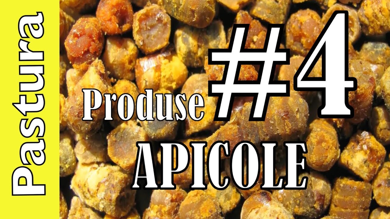 PASTURA DE ALBINE Produse Apicole Bee