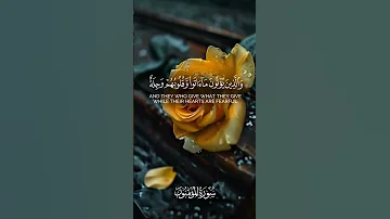 قلوب ترتجف من خشية الله سر النجاة في آية واحدة Duet المصحف اكسبلور 