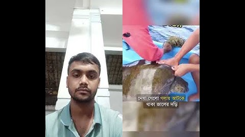 সমুদ্রের মাঝখানে এ ঘটনা না দেখলে বিশ্বাস করা অসম্ভব!! #shorts #mayajaal #shark
