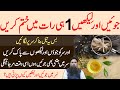 How to remove head lice in one day at home in urdu  juain khatam karne ka tarika dr sharafat ali