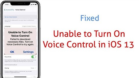How to Fix Unable to Turn On Voice Control error message on iPhone and iPad after  iOS 13/13.3