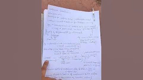 Data Compression in Multimedia