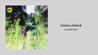 Rex Orange County - Sunflower (1 Hour Loop)