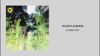 Rex Orange County - Sunflower (1 Hour Loop)
