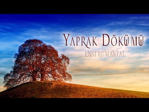 Yaprak Dökümü (Duygusal Enstrümantal)