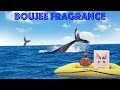 🐳 Olympéa PACO RABANNE UNBOXING/REVIEW/1ST IMPRESSION