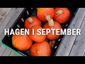 Hagen i september | Fortsatt mye på gang!