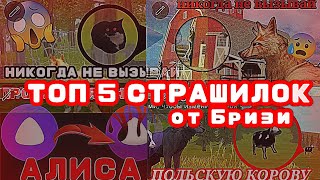 :  5  /  