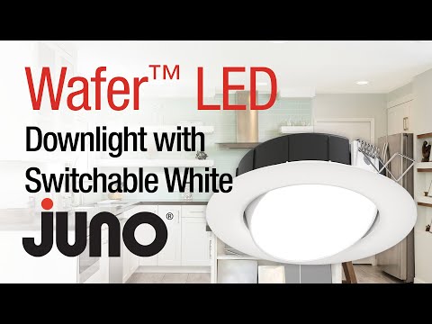 Switchable White Adjustable Wafer Downlight 